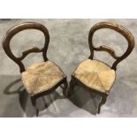 A pair of 19th Century balloon back dining chairs, woven cane seats with serpentine front rails,