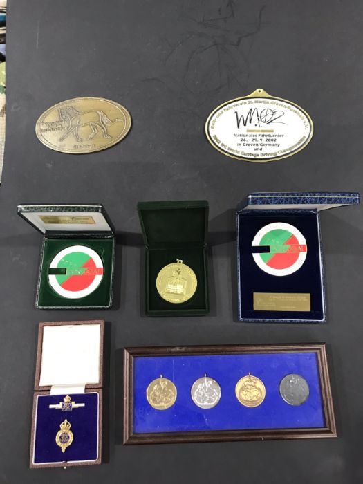 A collection of dressage themed medals, including