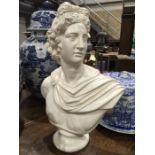 A chalk ware bust portrait, modelled as Apollo Belvedere, 51cm high, together with a twin handled