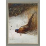 Follower of Archibald Thorburn, study of a dead pheasant in a winter landscape, gouache, 70 by 52cm,