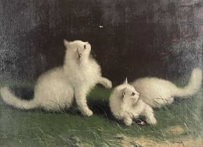 Beno Boleradszky (Hungarian, 1885-1957), two white cats, signed u.r., oil on canvas, 60 by 80cm,