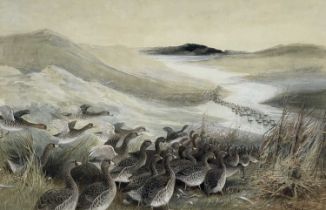 Charles Whymper R.I. (British, 1853-1941), 'Migration of Pink Foot Geese', signed l..r,