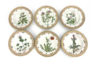 Six Royal Copenhagen Flora Danica plates and dishes, gilt denticulated rims, each painted with a