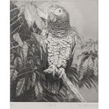 Elizabeth Butterworth (b.1949), Parrot, plate 18, etching, signed in pencil, artists proof, H.23cm