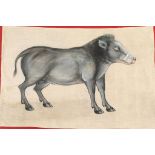 Late 19th century Indian wild boar painting, oil pigment on cloth, red cloth backing, North-West