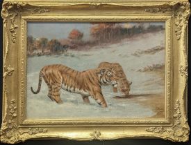 G.Puice (Late 19th century Continental School) Tigers, oil on canvas, signed lower right, H.34cm W.