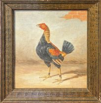 Portrait of a fighting cock, oil on canvas laid on board, pencil (possible) signature to verso, 25cm