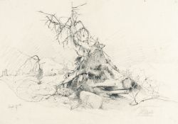 Eduard Peithner von Lichtenfels – Studie eines entwurzelten Baumes