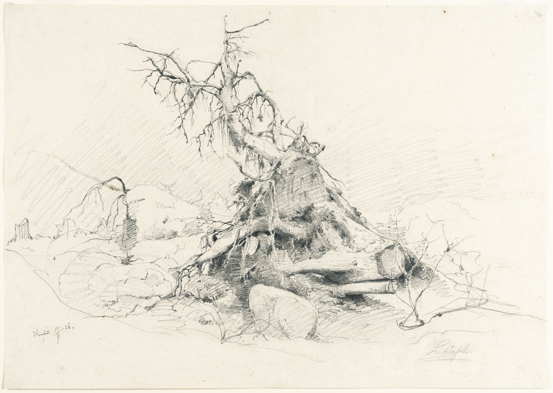 Eduard Peithner von Lichtenfels – Studie eines entwurzelten Baumes - Bild 2 aus 3