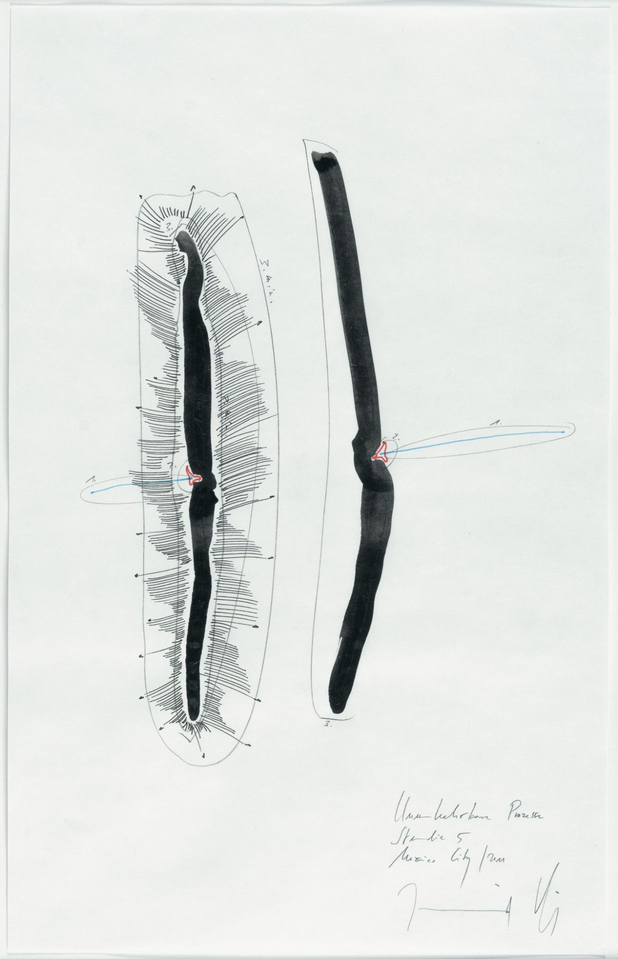 Jorinde Voigt (1977 Frankfurt/Main), “Irreversible Processes Studies 1-7”Ink and pencil on thin - Image 7 of 9