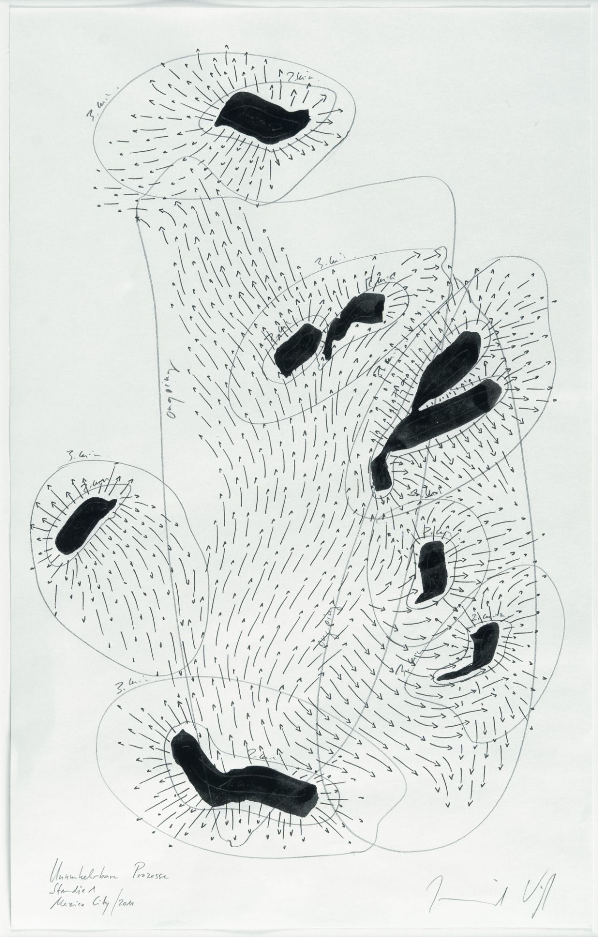 Jorinde Voigt (1977 Frankfurt/Main), “Irreversible Processes Studies 1-7”Ink and pencil on thin - Image 2 of 9