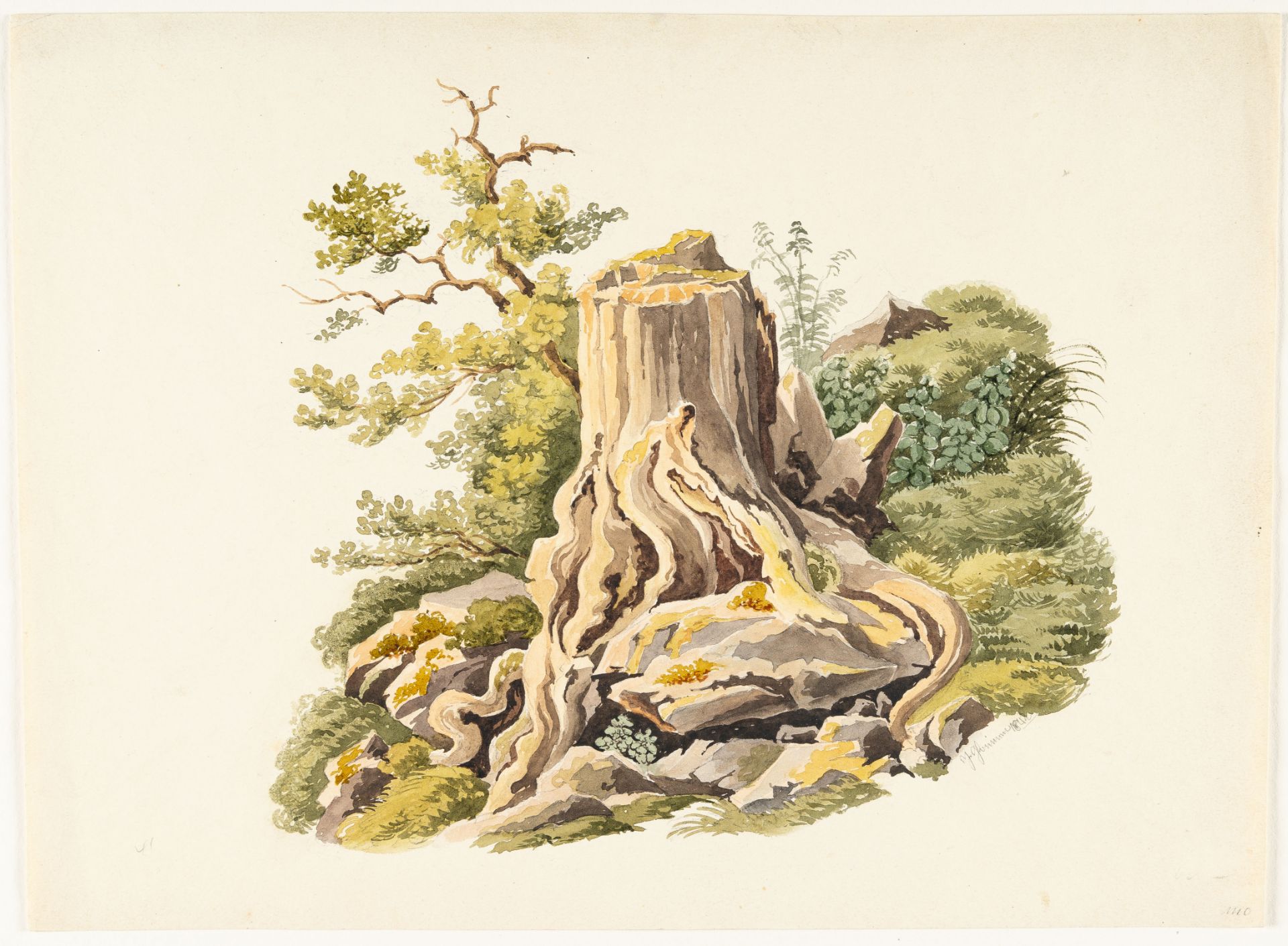 Ludwig Emil Grimm, Treestump with exposed roots.Watercolour over pencil on wove with watermark "J. - Image 2 of 3