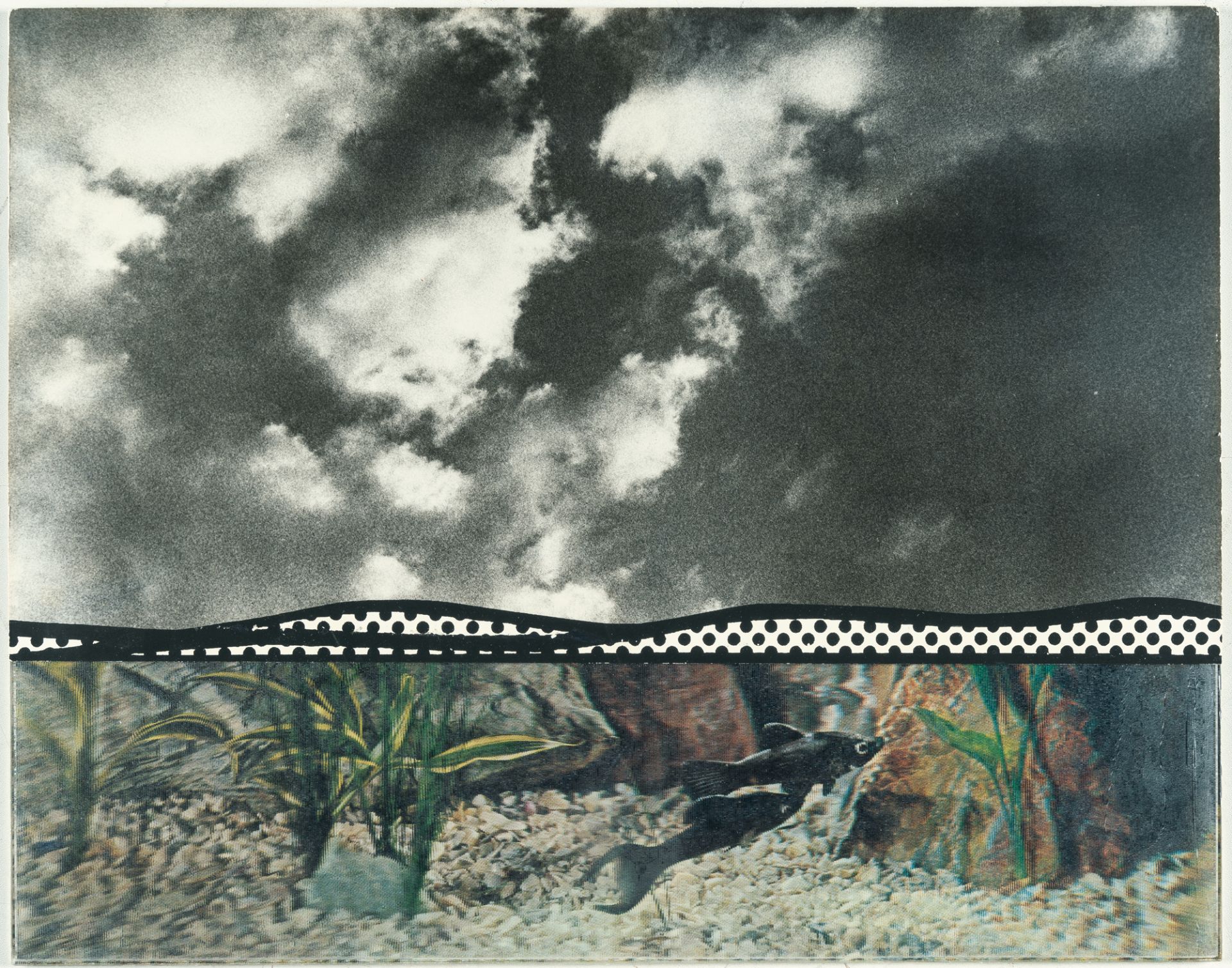 Roy Lichtenstein (1923 - New York - 1997) – Fish and Sky aus: Ten from Leo Castelli - Bild 2 aus 4