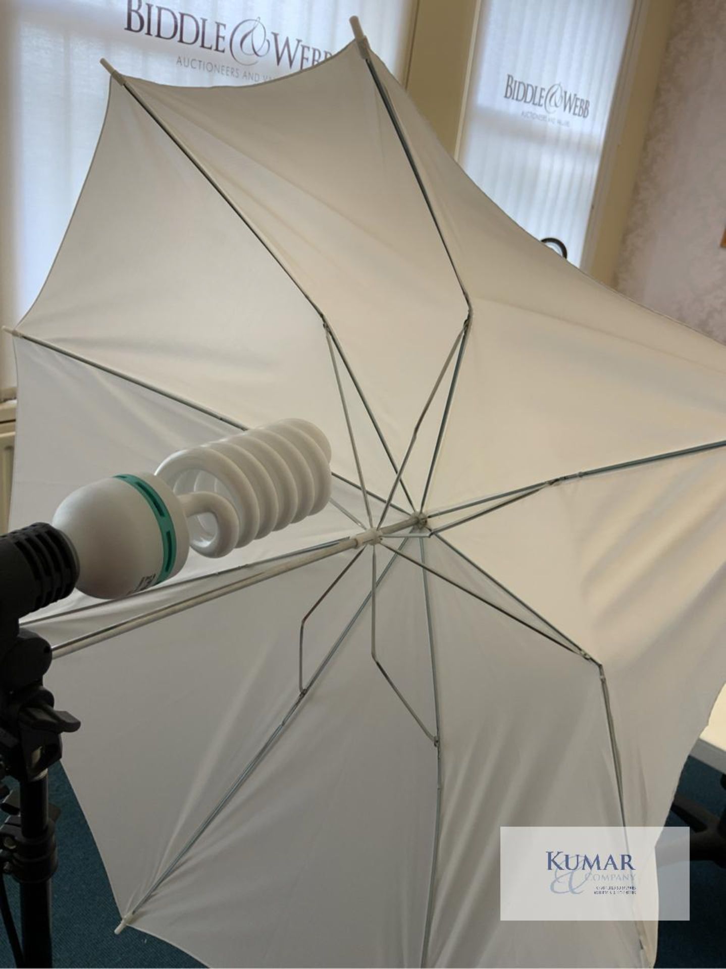 2: Translucent Lighting Umbrellas with Set Photo Bulbs & Tripods - Bild 8 aus 8
