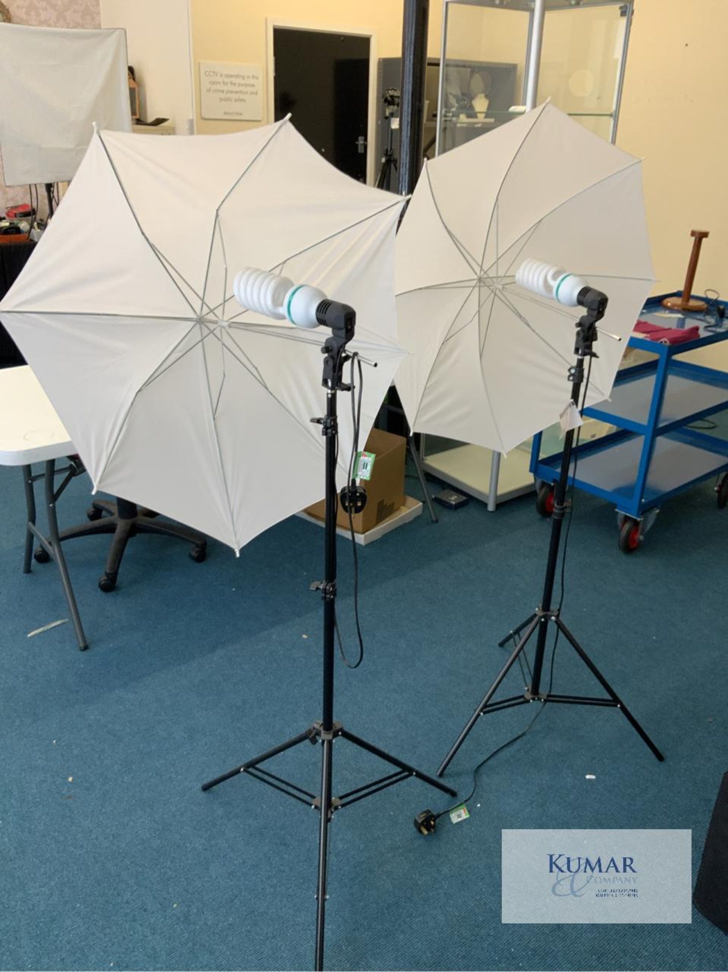 2: Translucent Lighting Umbrellas with Set Photo Bulbs & Tripods - Image 3 of 8