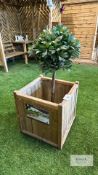 Holywell Single Planter, Sizes (W x D x H) 0.6m x 0.6m x 0.65m