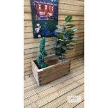 Gresell Single Planter, Sizes (W x D x H) 0.8m x 0.5m x 0.42m