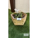 Marford Hexagonal Single Planter