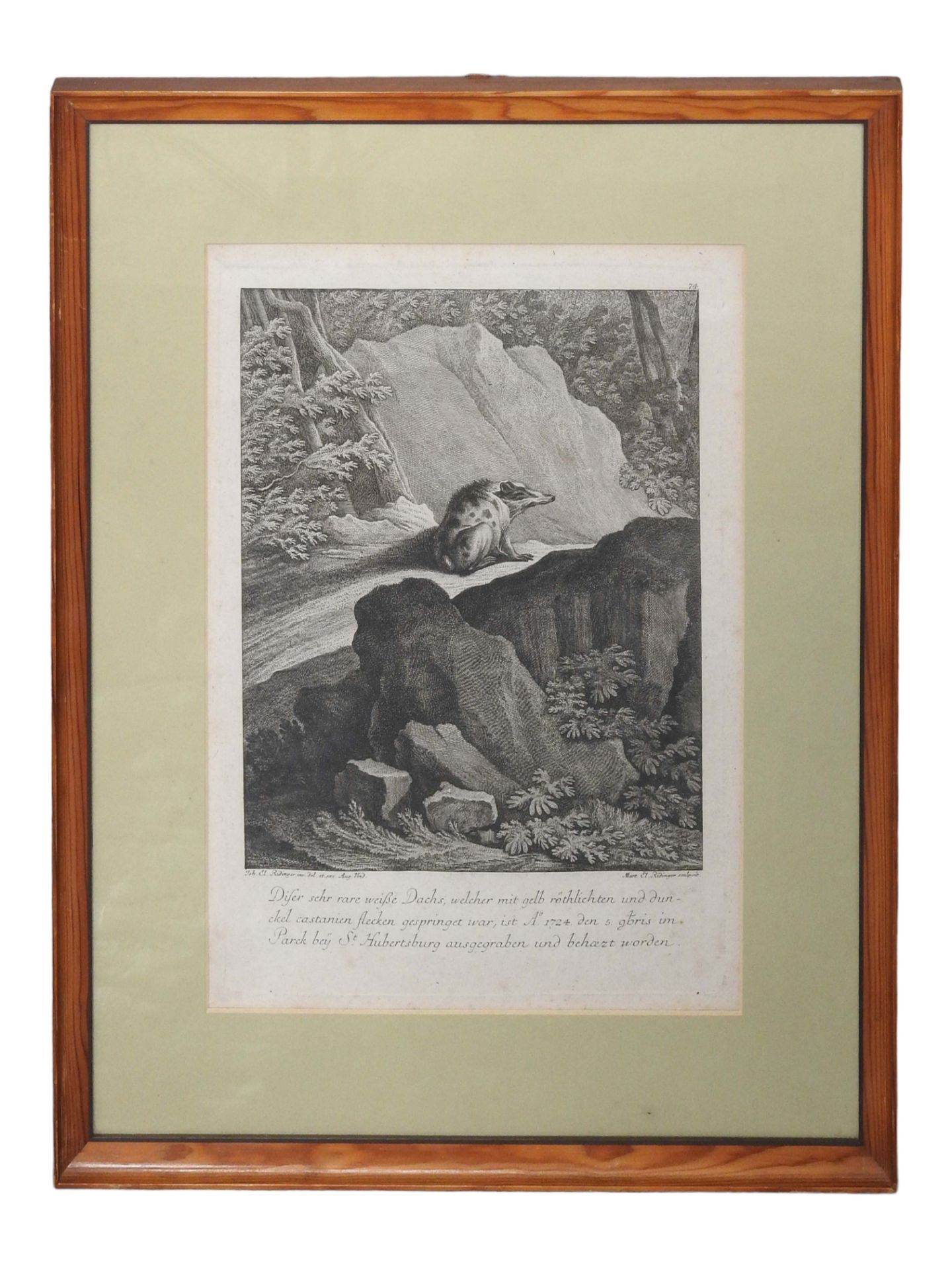 Martin und Johann Elias Ridinger, Kupferstich eines Dachses - Bild 3 aus 3