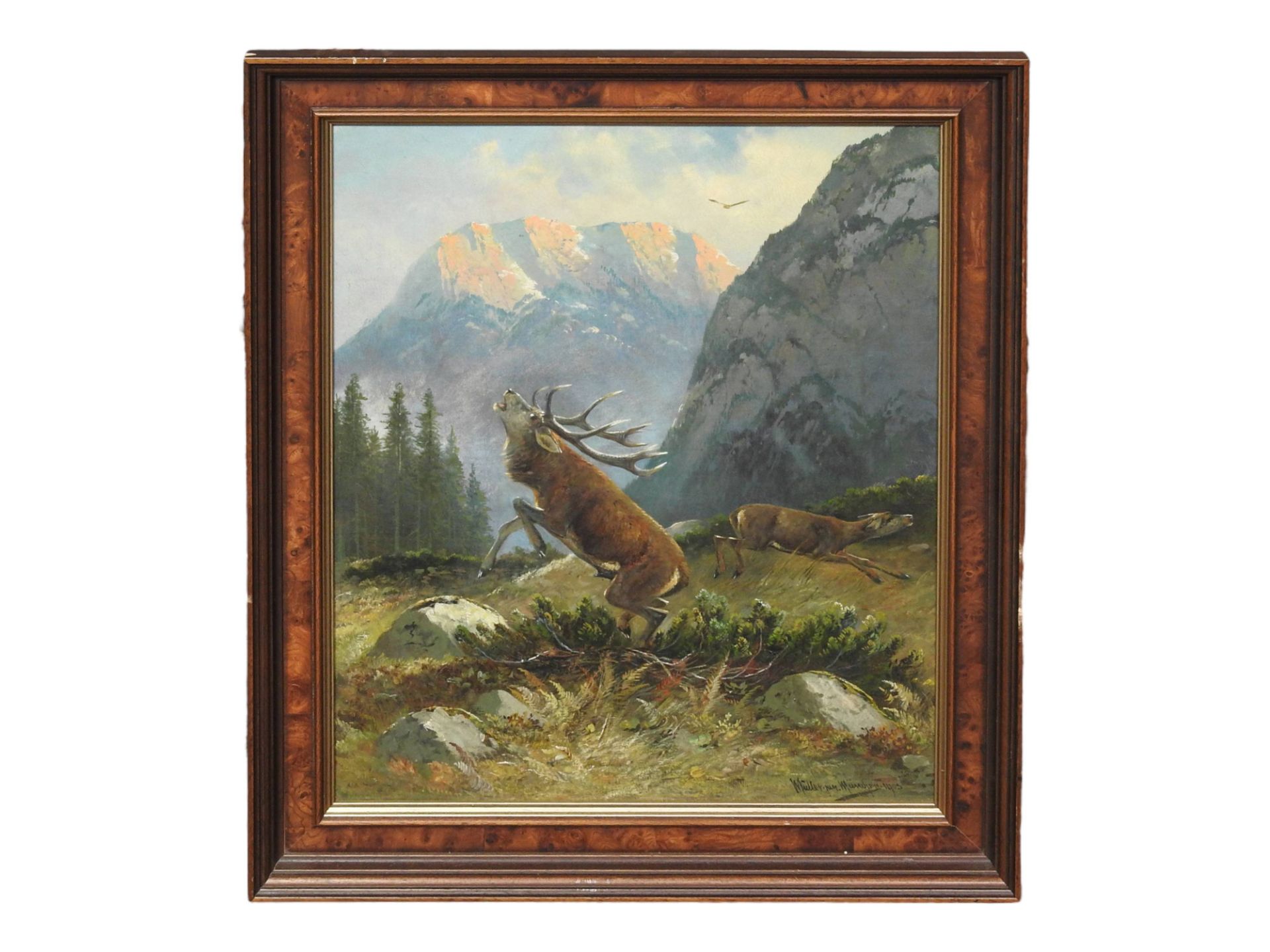 Moritz Müller d. J. (1869-1934), Steigender Hirsch auf einem Bergplateau  - Bild 4 aus 7