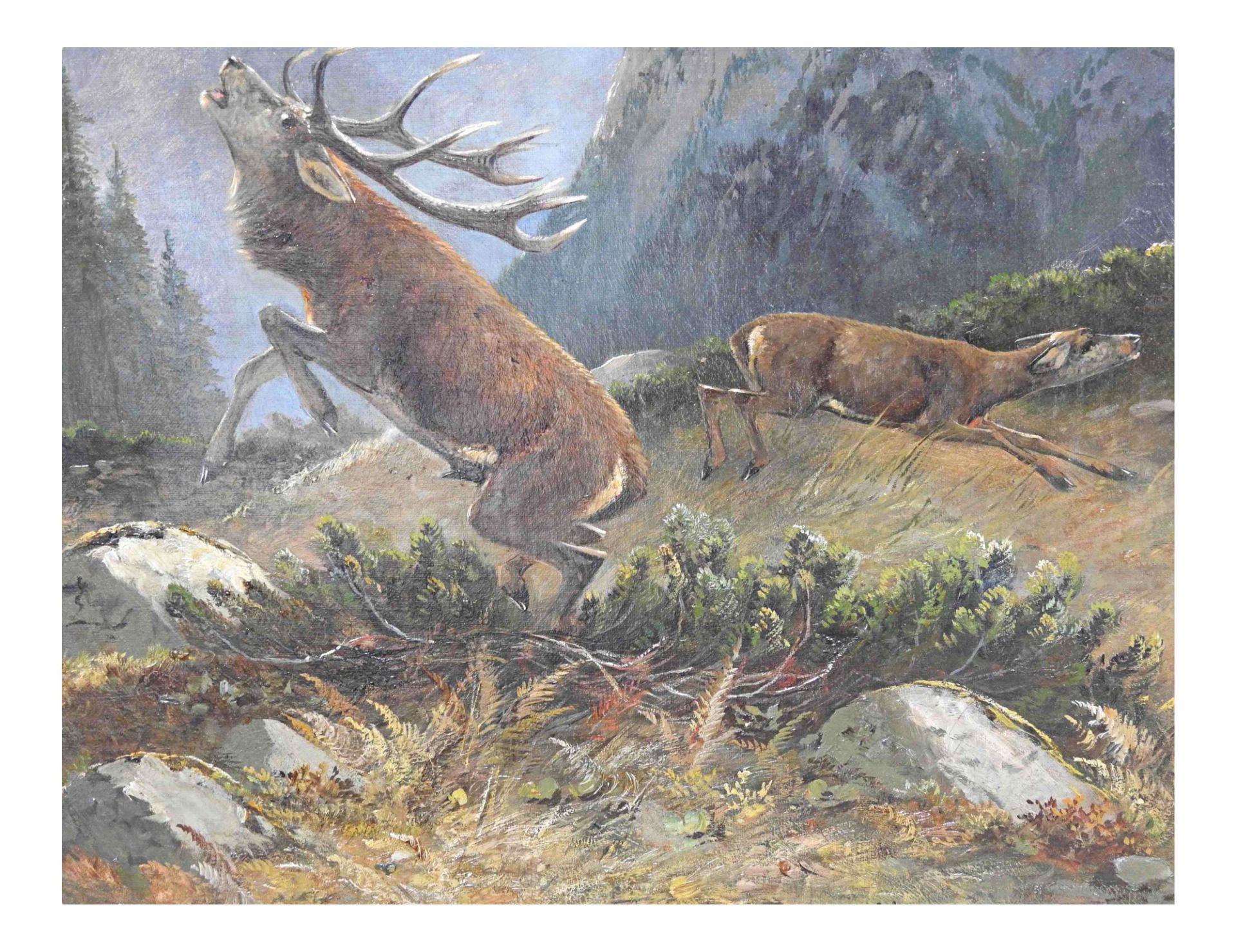 Moritz Müller d. J. (1869-1934), Steigender Hirsch auf einem Bergplateau  - Bild 2 aus 7