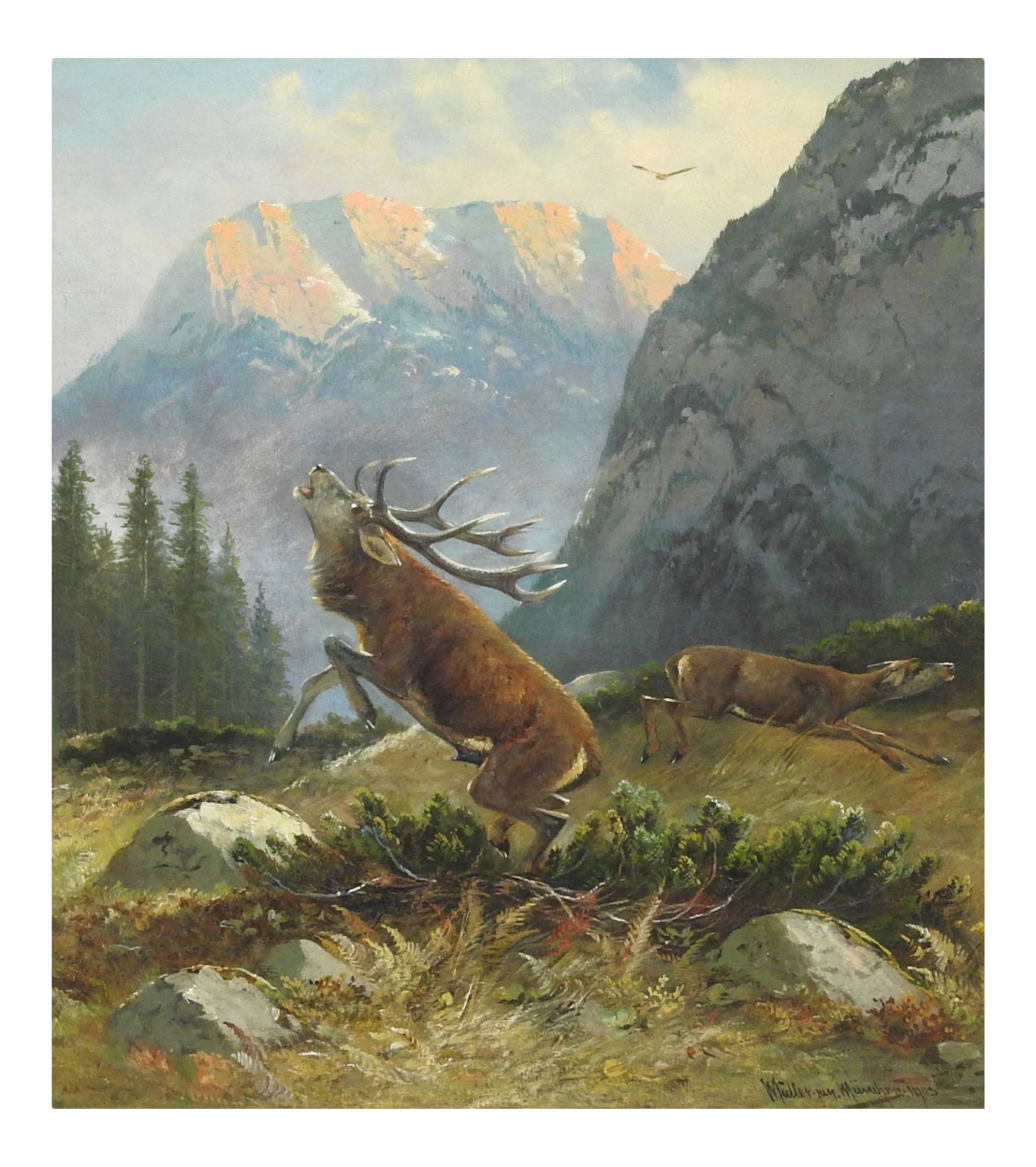 Moritz Müller d. J. (1869-1934), Steigender Hirsch auf einem Bergplateau 