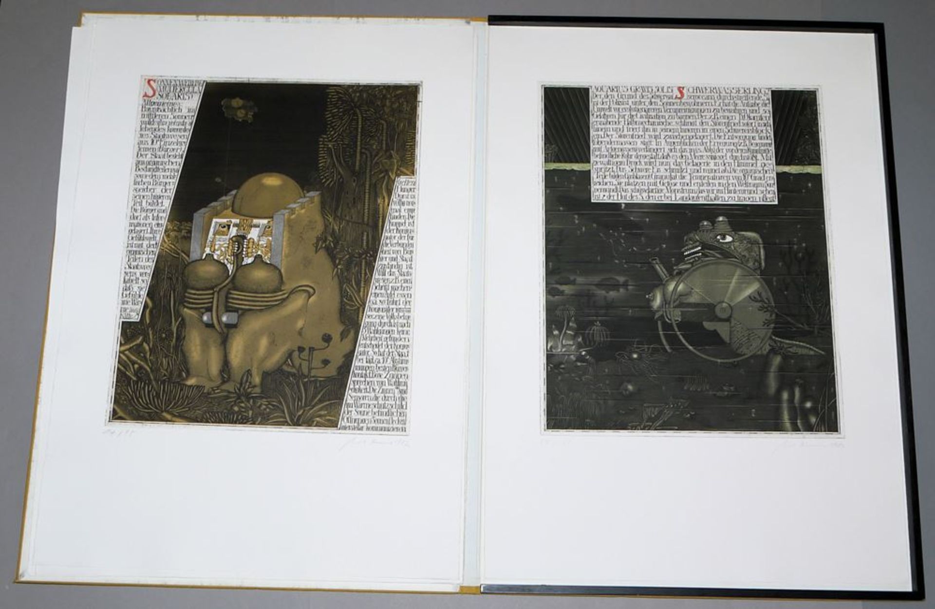 Uwe Bremer, "1ste Sonnencyclopaedie", portfolio with 4 large colour etchings, sign., Ed. Hilger Vie - Image 5 of 6