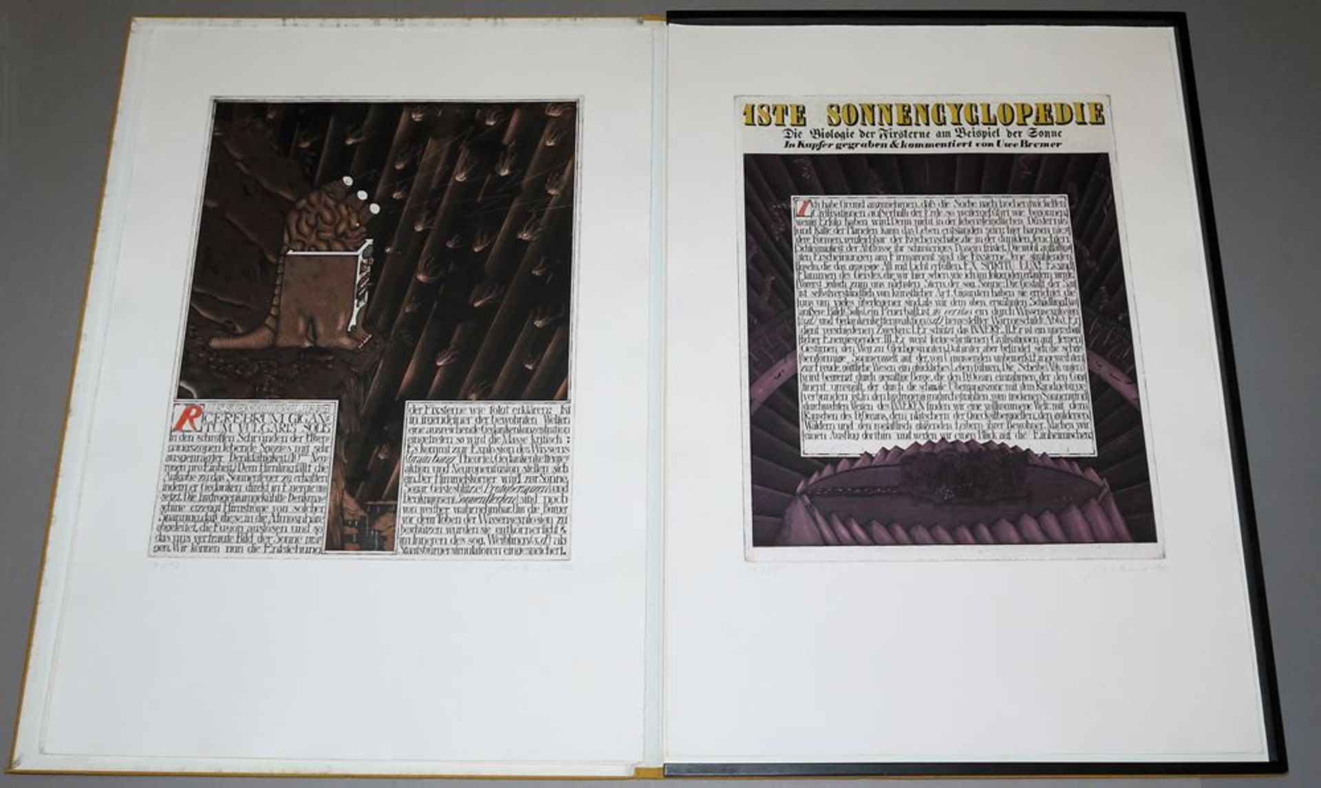 Uwe Bremer, "1ste Sonnencyclopaedie", portfolio with 4 large colour etchings, sign., Ed. Hilger Vie - Image 4 of 6