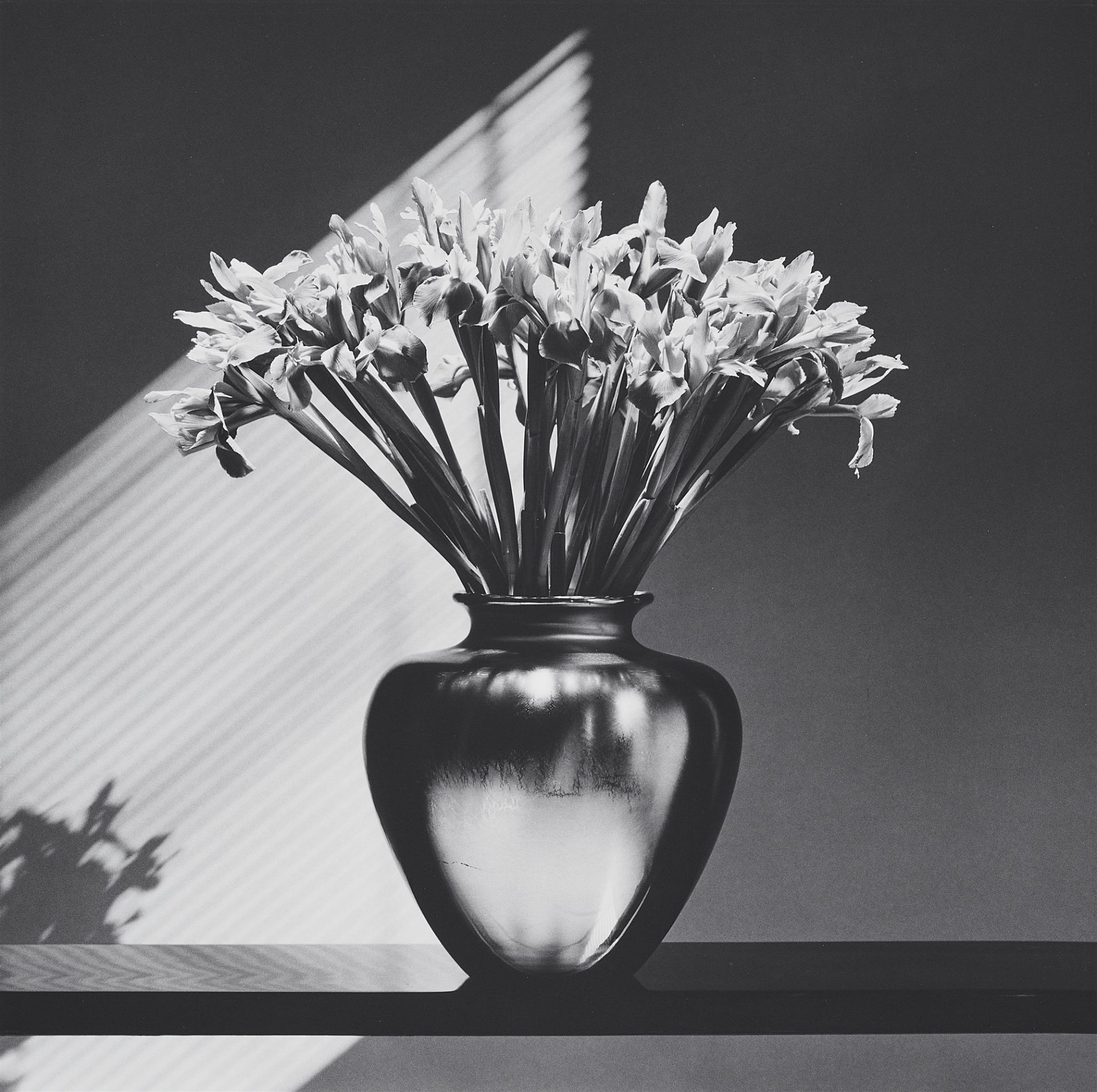 Robert Mapplethorpe, Irises