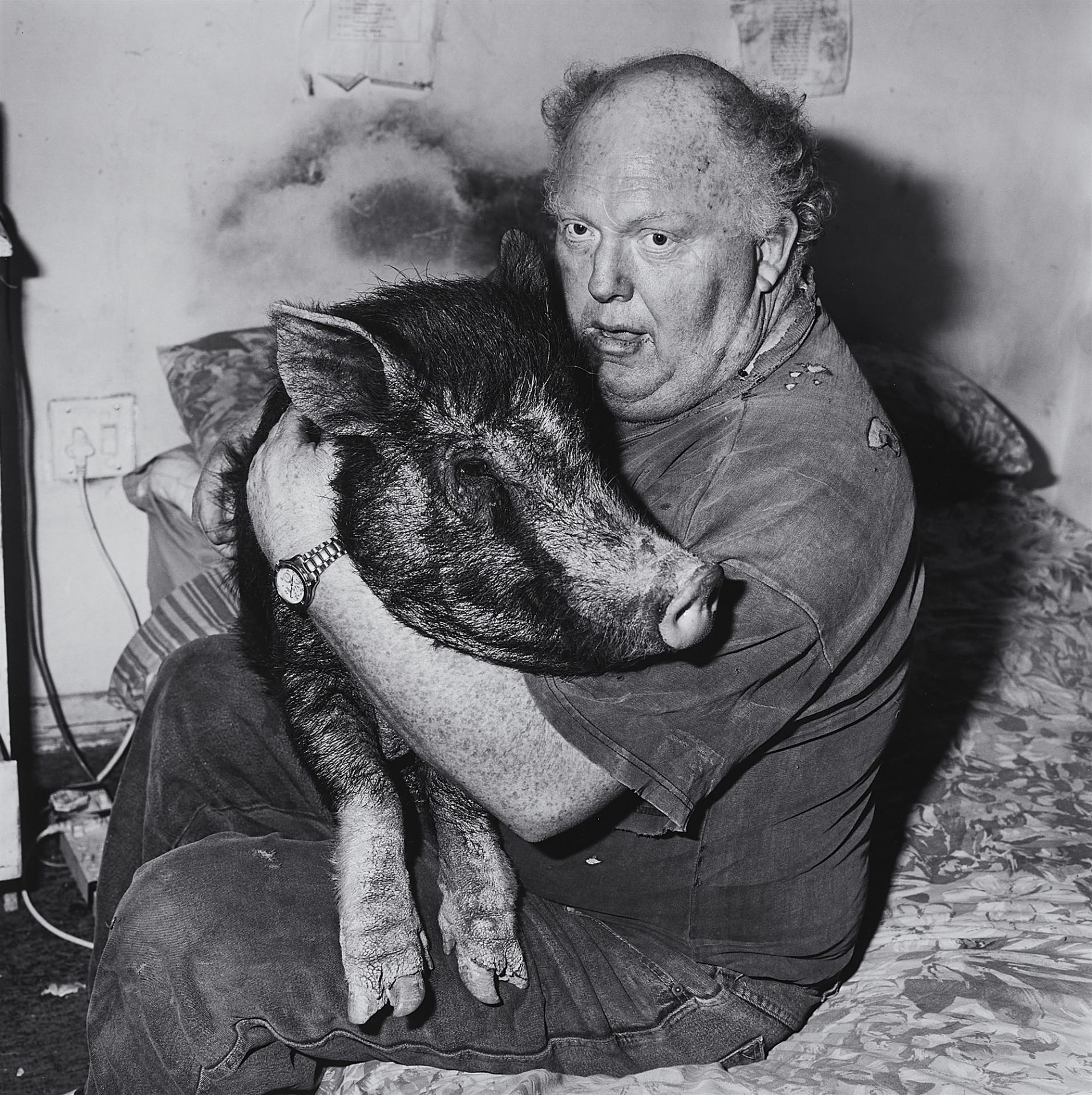 Roger Ballen, Brian with Pet Pig