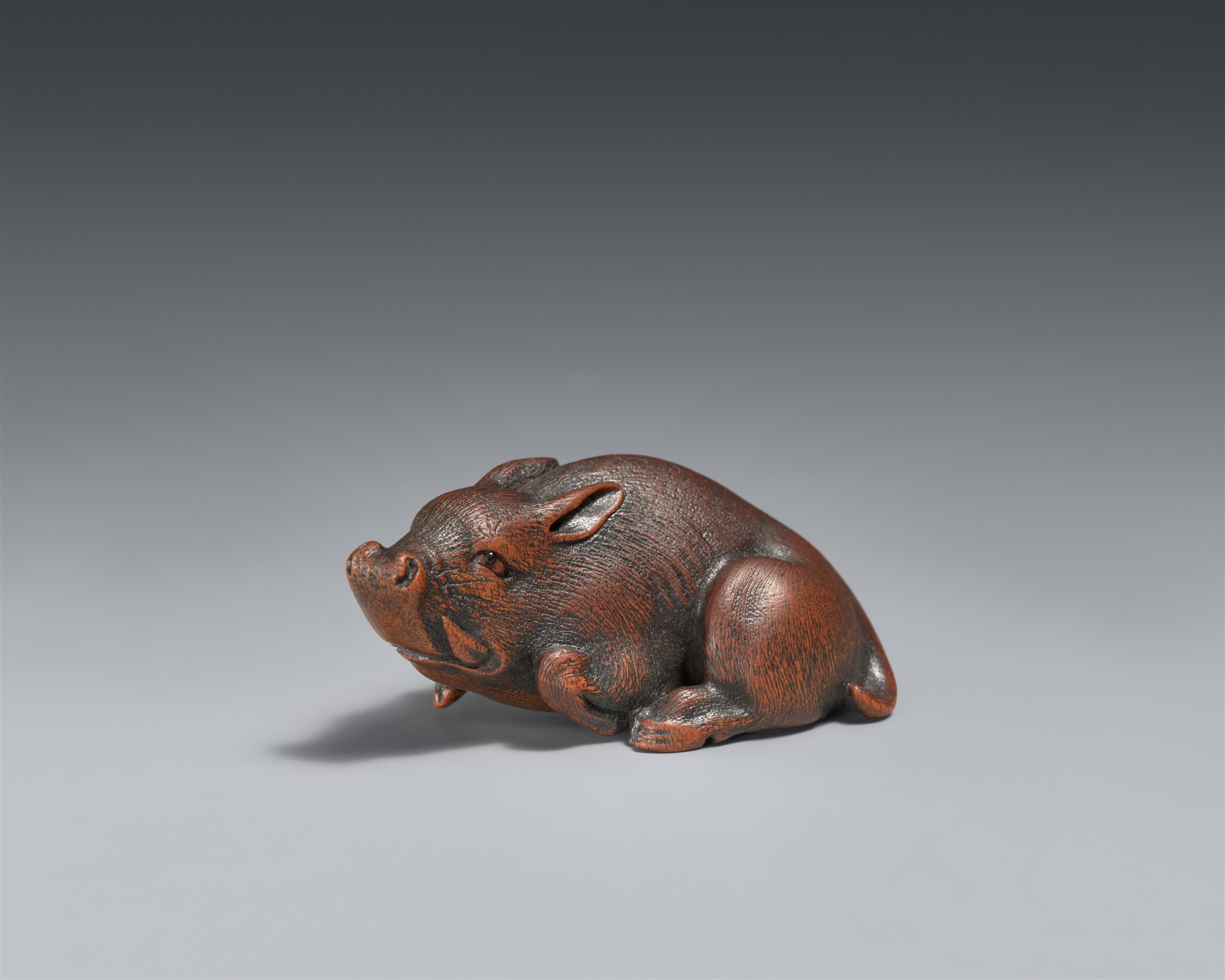 A small boxwood netsuke of a recumbent boar. Nagoya. Mid-19th century