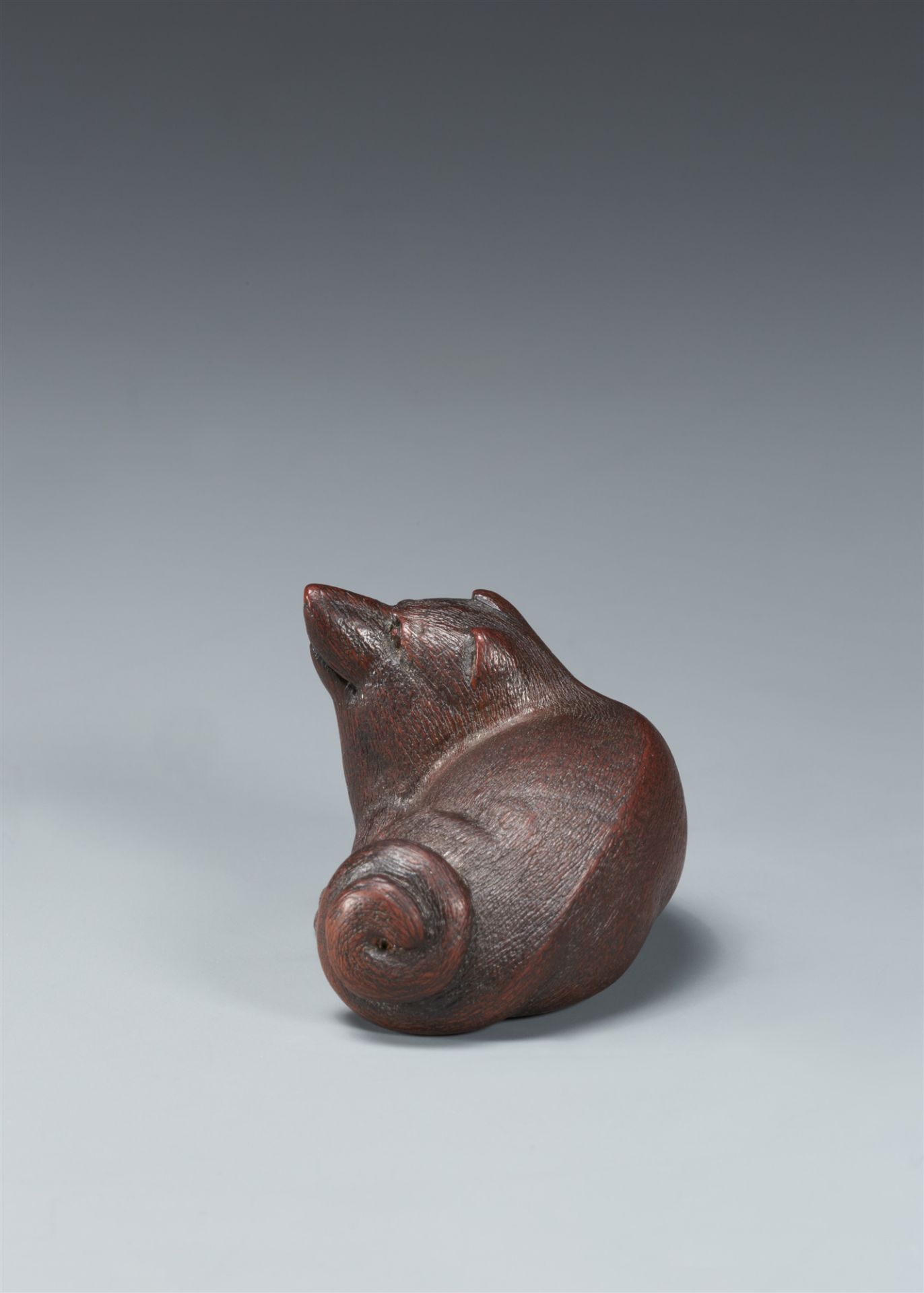 A Nagoya dark wood netsuke of a tanuki. Second half 20th century - Image 3 of 5