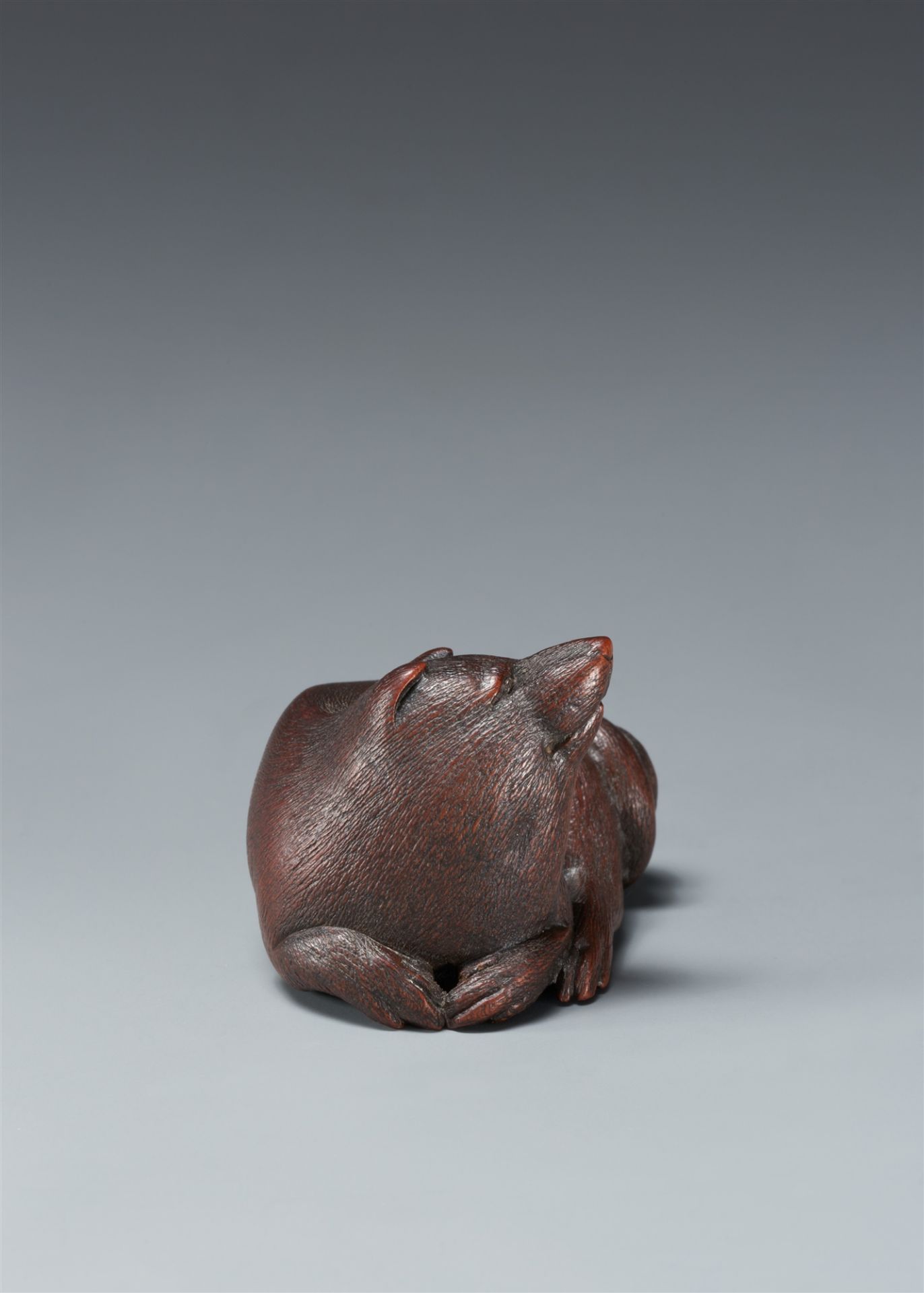 A Nagoya dark wood netsuke of a tanuki. Second half 20th century - Image 4 of 5