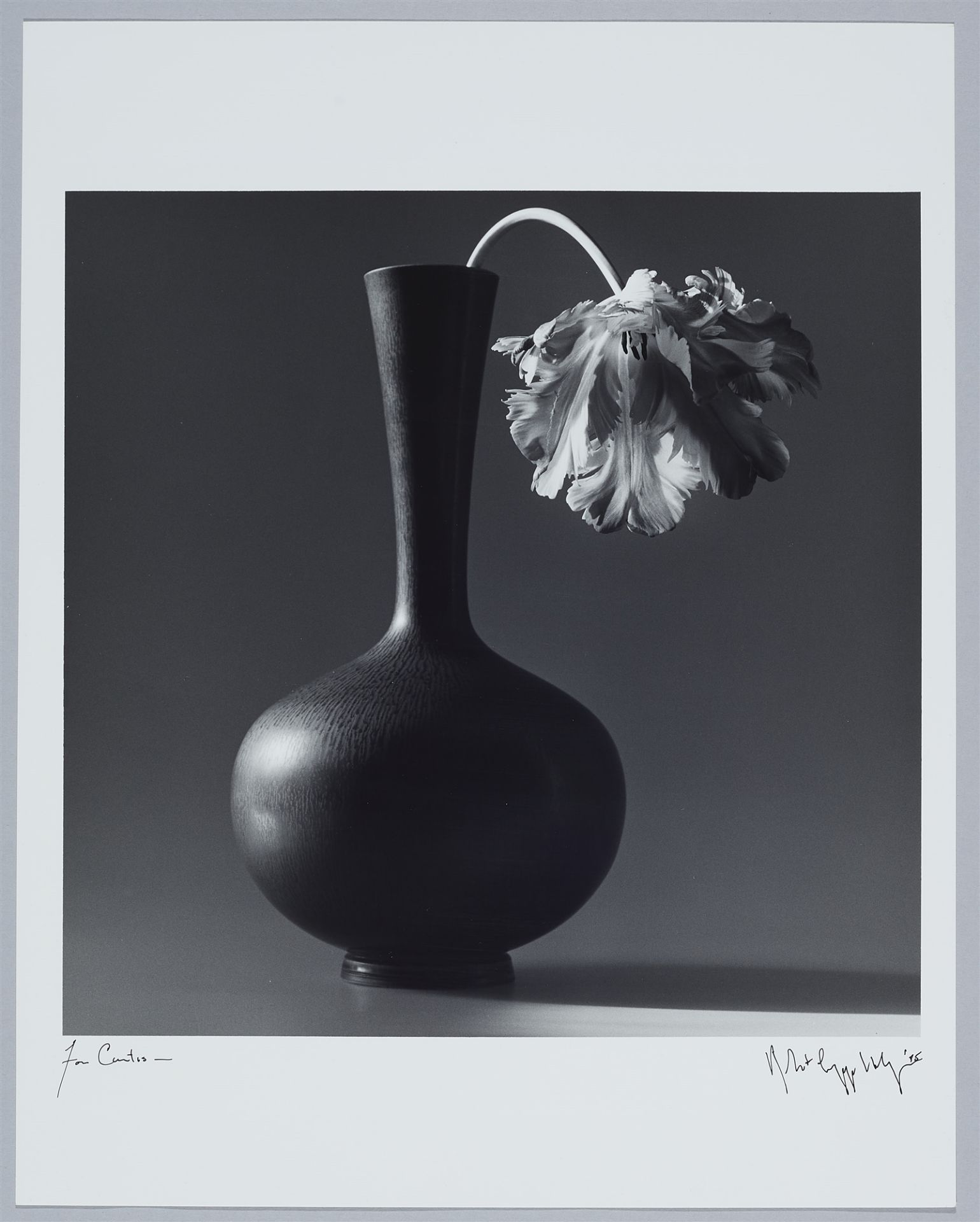 Robert Mapplethorpe, Parrot Tulip in Black Vase - Bild 2 aus 3