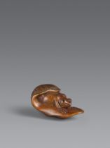 A wood netsuke of a frog on a taro leaf. 19th century