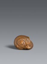 A good boxwood netsuke of a snail. 19th century