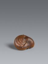 A good boxwood netsuke of a snail. Around 1800