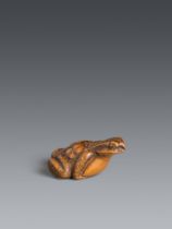 A boxwood netsuke of a toad. 19th century