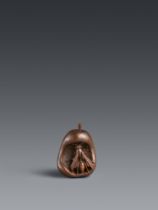 A boxwood netsuke of a wasp in a rotten pear. Late 19th century