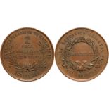 Centenary of the Birth of Joaquin Suarez Medal, 1881