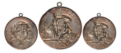 Medal 1890, Shooting Festival Frauenfeld