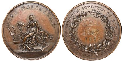 Prize Medal from The Agricultural Society Fribourg, 1864