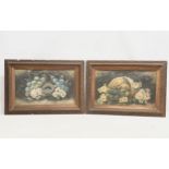 2 Still Life oil paintings by Evelyn Cheston (1875-1929) paintings measure 49x29cm. Frame 65x44.5cm.
