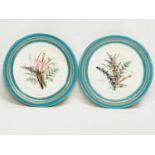 A pair of late 19th century Royal Worcester Botanical porcelain dessert plates, with hand painted