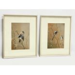 2 watercolours of birds. signed F.A. 32x40cm