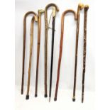 A quantity of vintage walking sticks including an early 20th century bone handled stick.