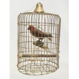An early 20th century taxidermy parrot in bird cage. 42x66cm