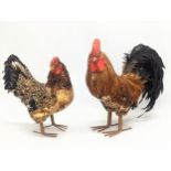 2 model chickens, made with real chicken feathers.
