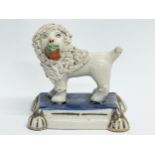 A 19th century Staffordshire pottery poodle. 8x5x8cm