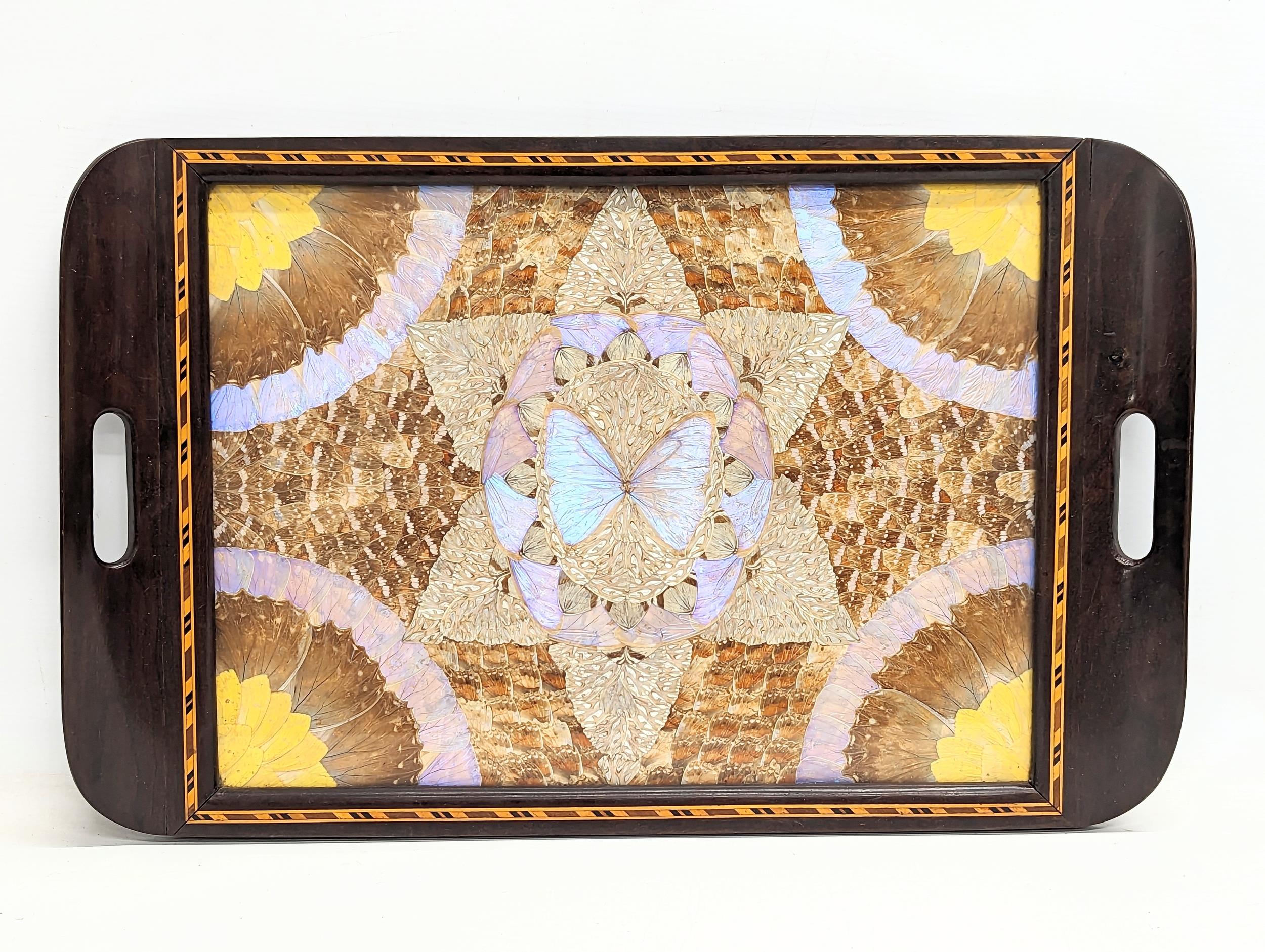 A vintage inlaid Brazilian rosewood butterfly tray. 52x33cm - Bild 2 aus 3